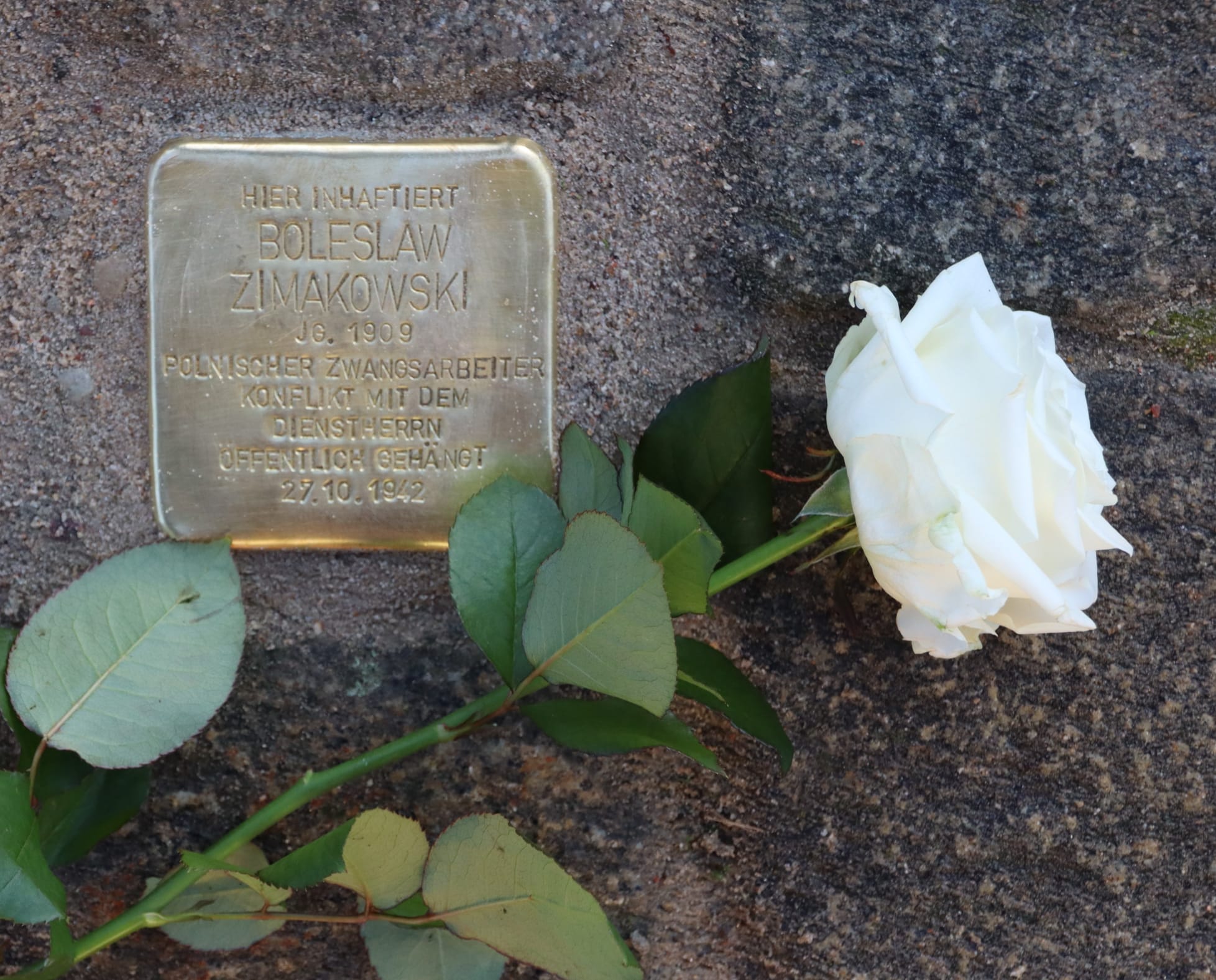 Stolpersteine BZimakowski_Heidenau